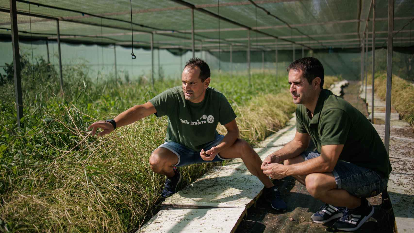 Los hermanos Jorge y Raúl Benito en una de sus granjas de caracoles