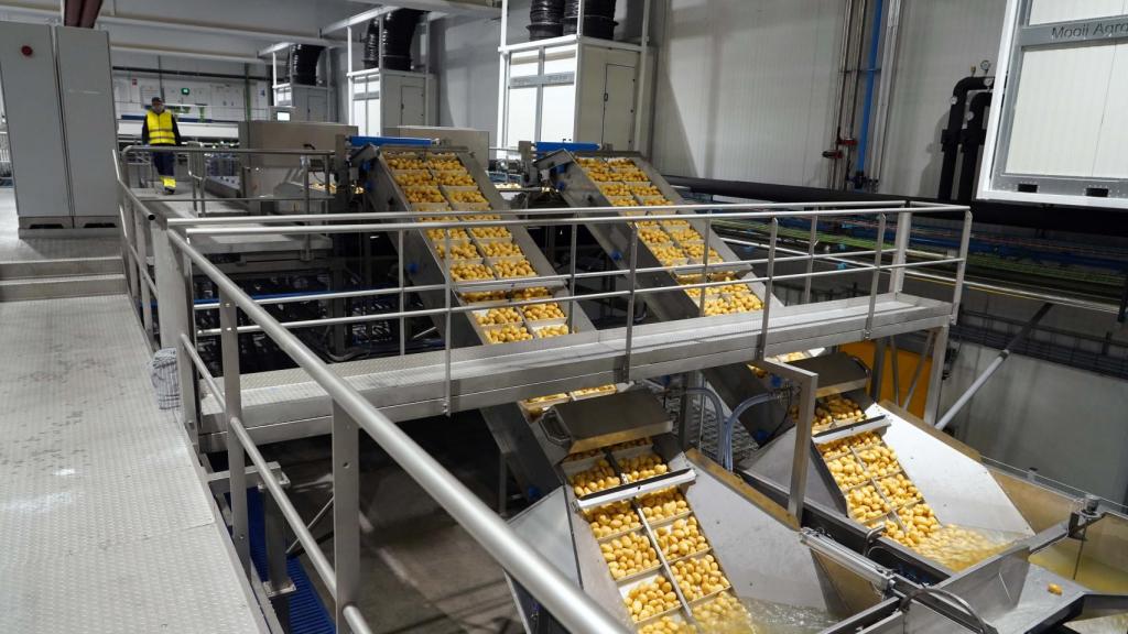 Imagen del interior de la fábrica de Patatas Meléndez en Medina del Campo (Valladolid)