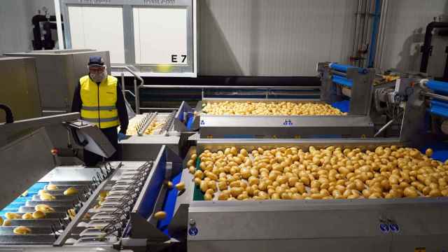 En Valladolid se ha conseguido el mayor nivel de excelencia en la producción de patata con la fábrica más moderna de Europa