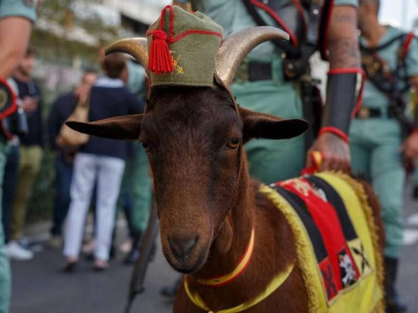 La cabra de la Legión, en un desfile
