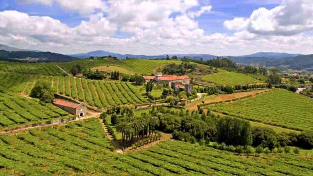 Paisaje entre viñedos del sur de Galicia.