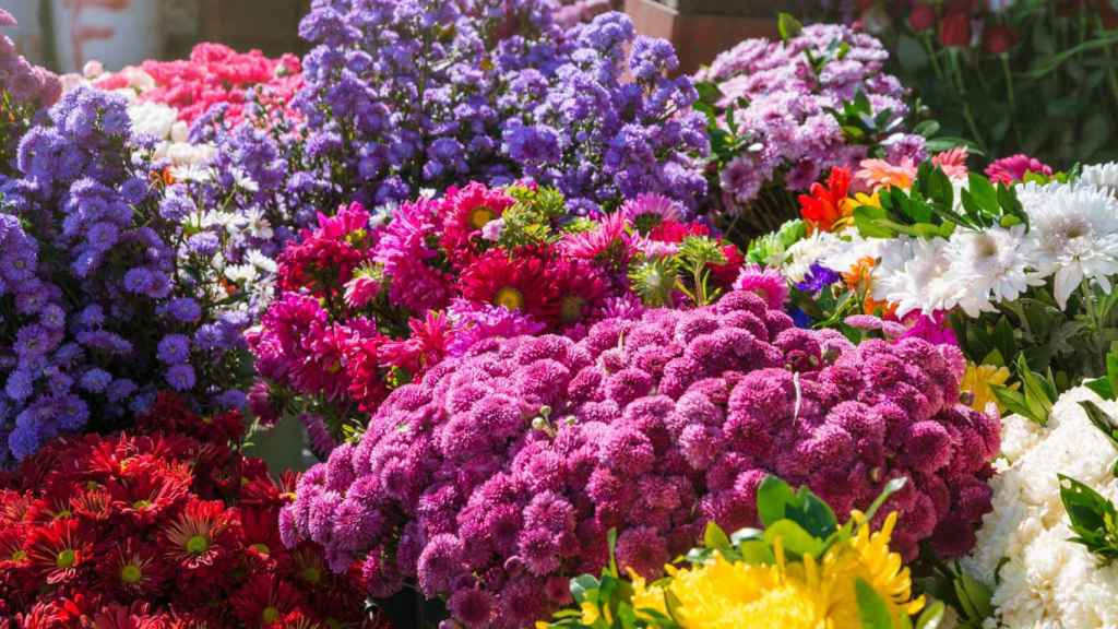 Flores en una imagen de archivo.