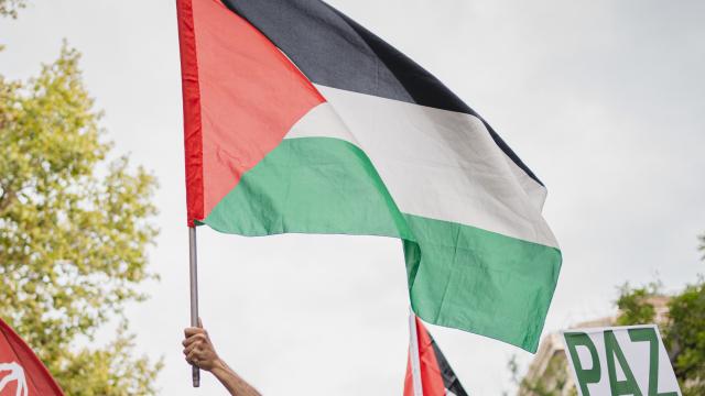 Imagen de la manifestación de Madrid en apoyo al pueblo palestino. Foto: Laura Mateo.