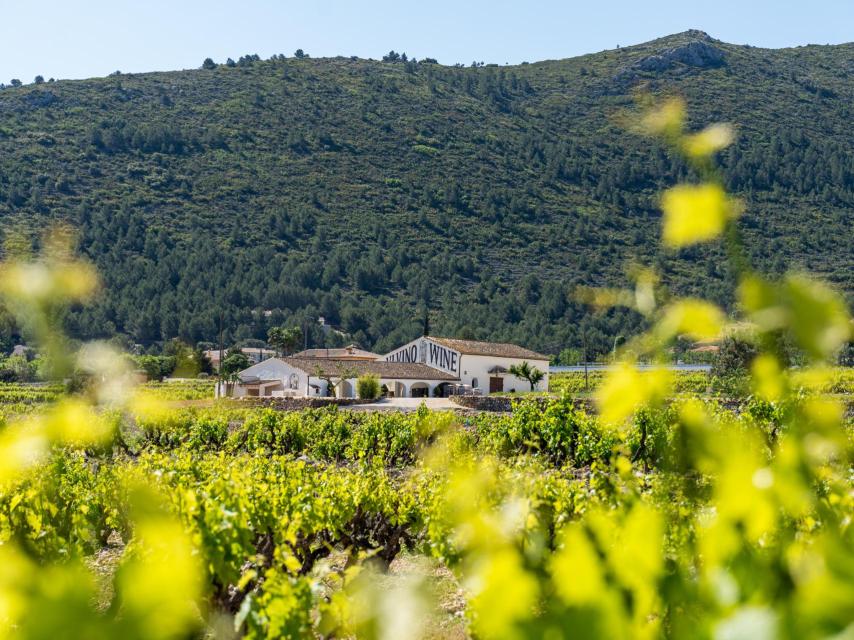 Bodega Pepe Mendonza Casa Agrícola