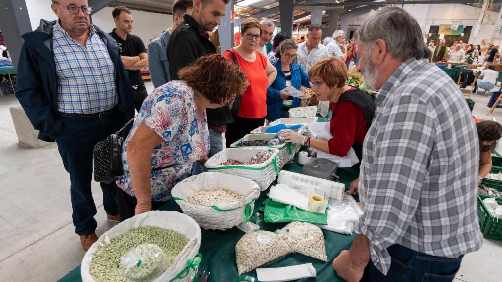 VII edición de la Feria de la Faba