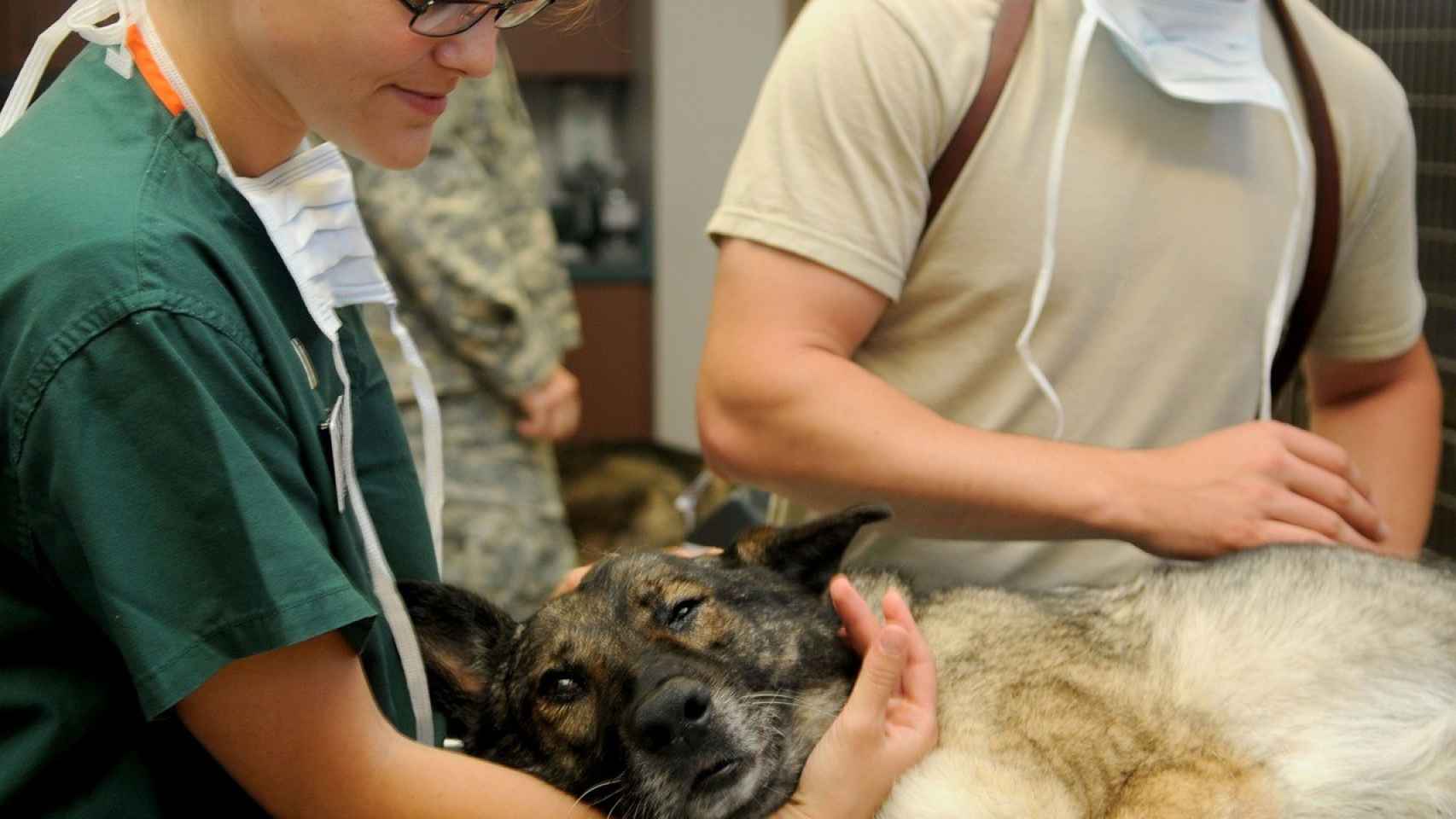 Una veterinaria con un perro.