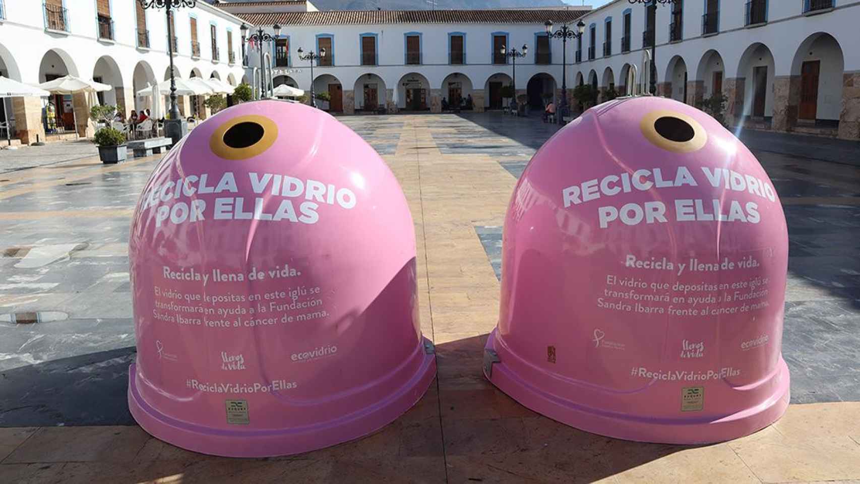 Imagen de archivo de los contenedores rosas en la campaña de 2019.