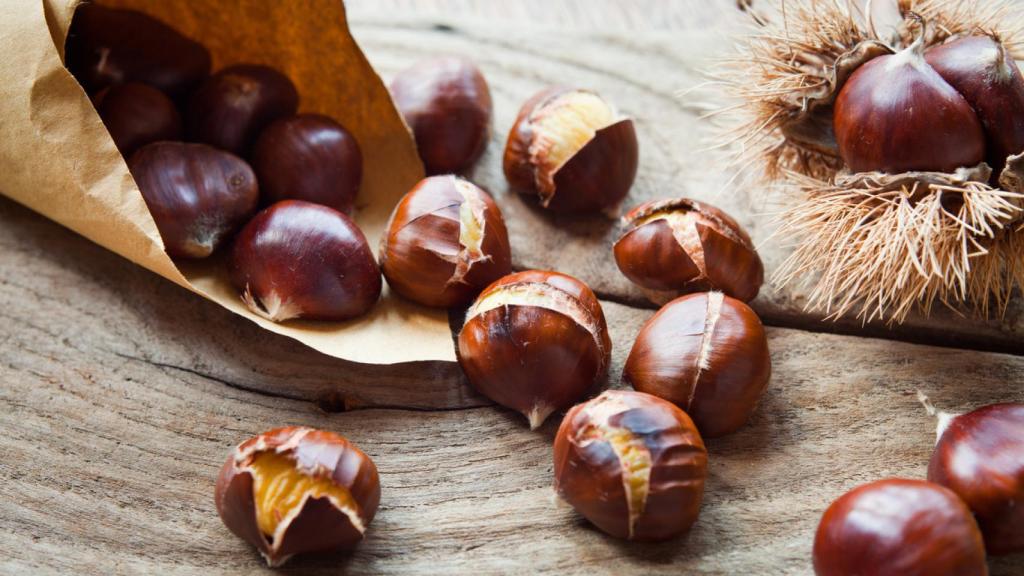 Aquí debes ir si quieres recoger castañas por Asturias este otoño