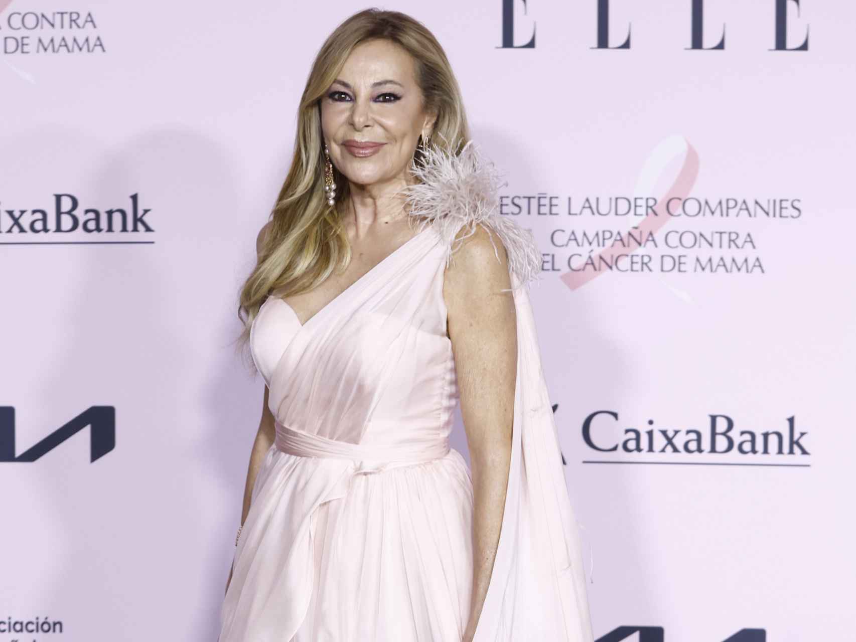 Ana García Obregón luciendo su vestido rosa empolvado ante la prensa en el Teatro Real.