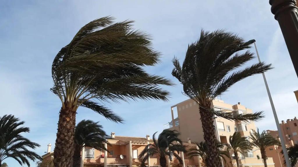 Imagen de archivo de un día de viento en Alicante