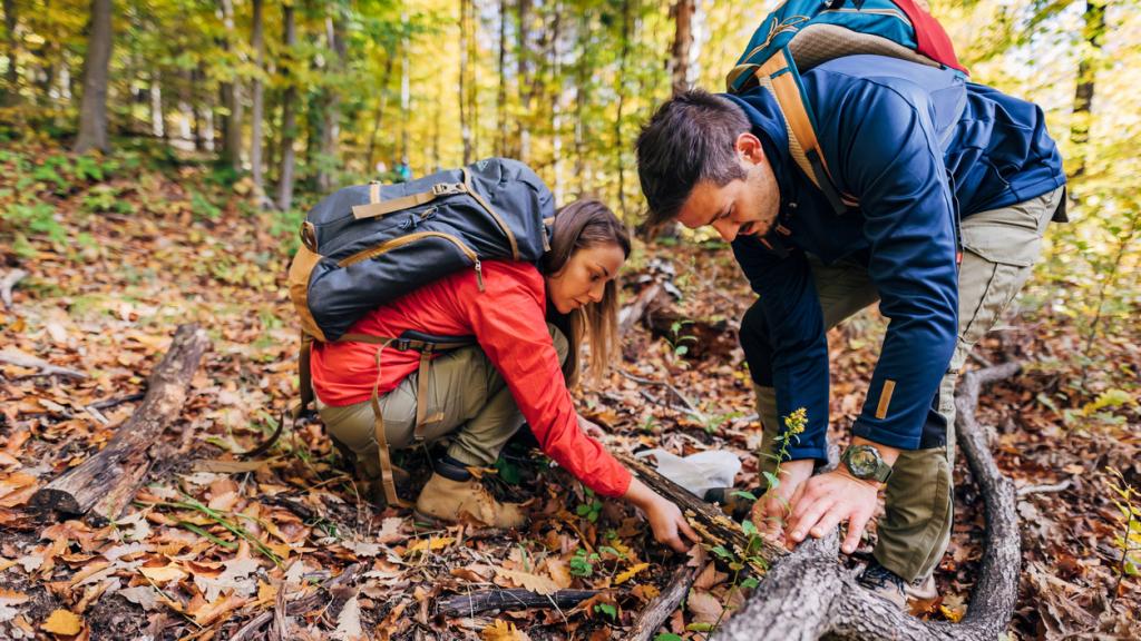 Conoce el rincón secreto de Madrid para ir a recoger setas en otoño.