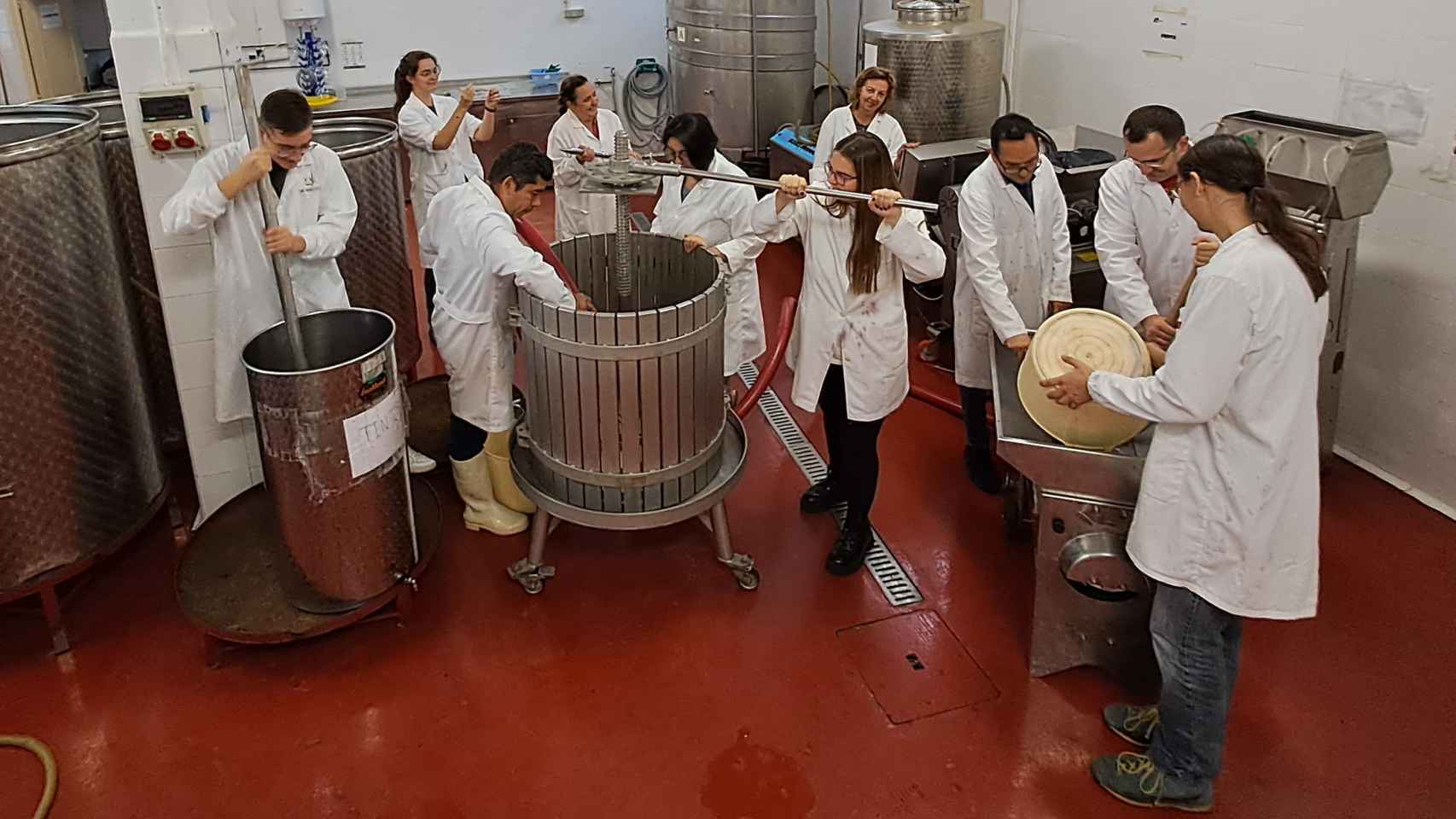 Alumnos de la FP, aprendiendo a elaborar vino en la bodega piloto del IES Joaquín Costa.