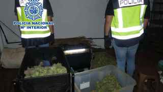 Diez detenidos por vender droga en un club social falso de Alicante