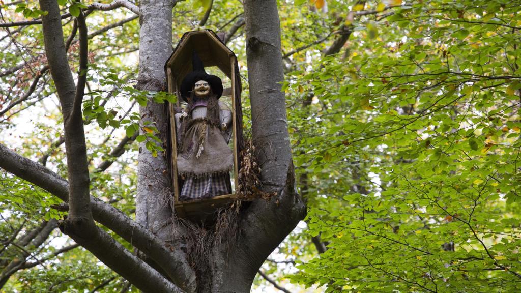 Una bruja en uno de los árboles de Faedo de Ciñera