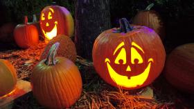 Calabazas de Halloween en imagen de archivo.