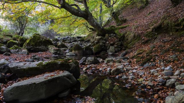 Otoño en Faedo de Ciñera