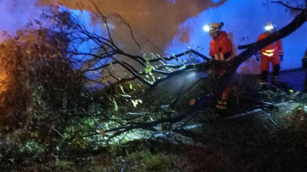 Efectivos de seguridad retiran un árbol en la calle Irmandiños