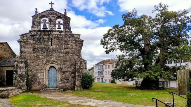 Castiñeiro milenario en la Iglesia de Baamonde, Begonte.