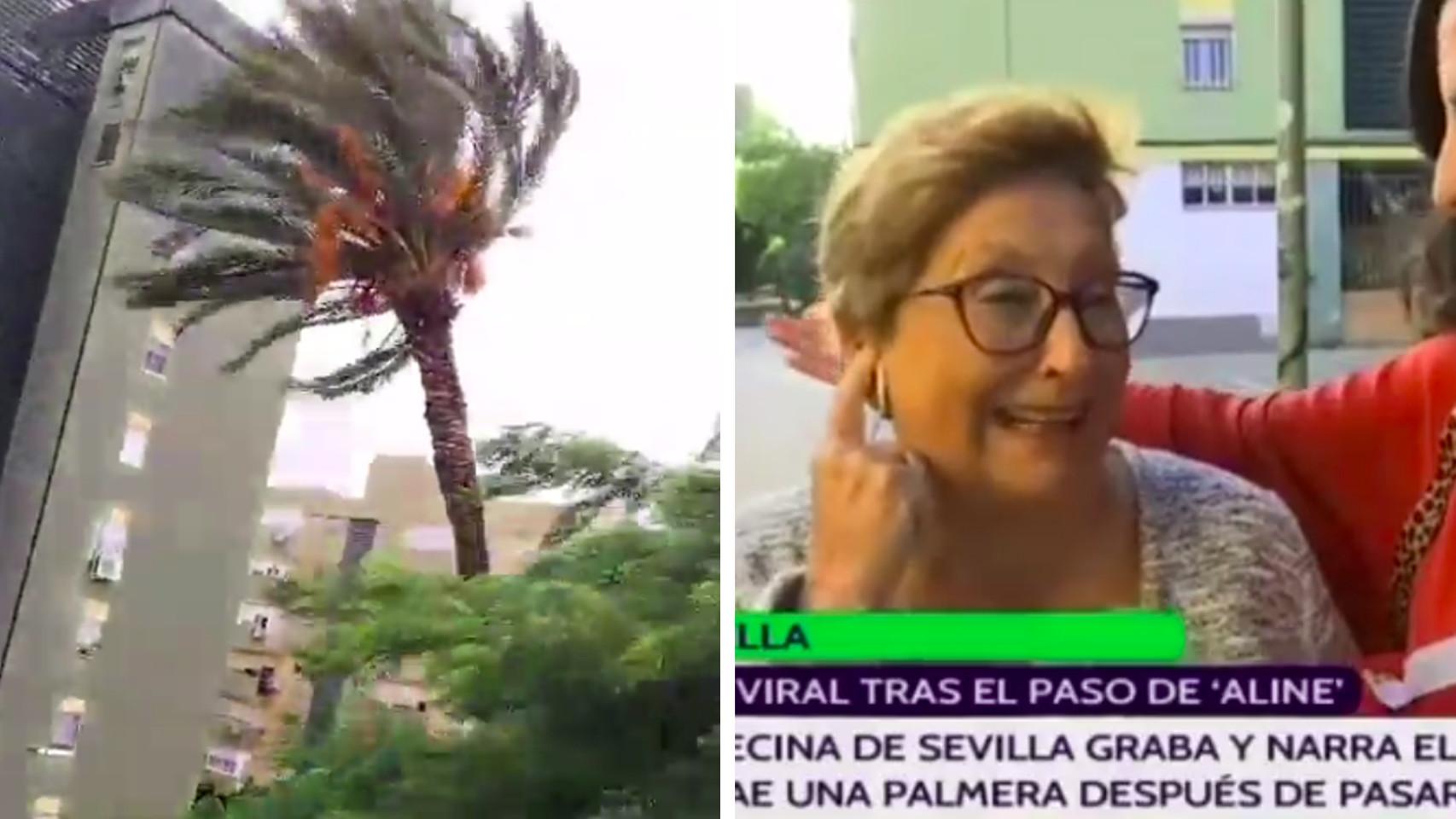 Captura del vídeo viral y de la entrevista a María Luisa en Canal Sur.