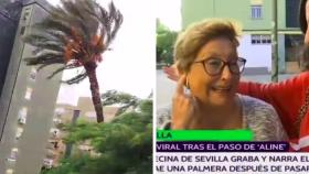 Captura del vídeo viral y de la entrevista a María Luisa en Canal Sur.
