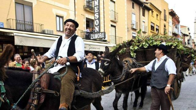 Archivo. Fiesta de la vendimia en Toro