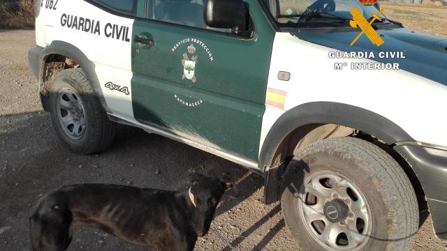 Un vehículo del Seprona de la Guardia Civil. Imagen de archivo.