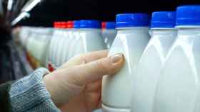 Unas botellas de leche del supermercado.
