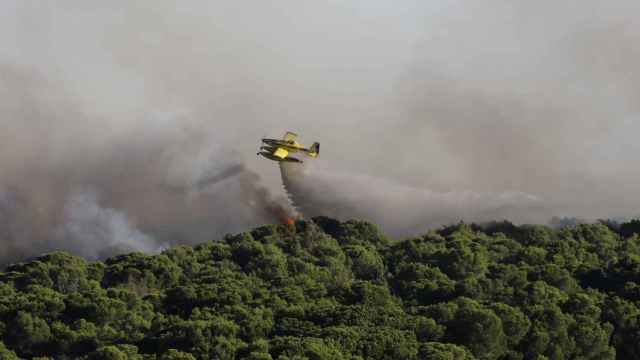 Cuatro medios aéreos, bomberos forestales y el Ayuntamiento de València durante las labores de extinción del incendio de este sábado en la Dehesa del Saler.