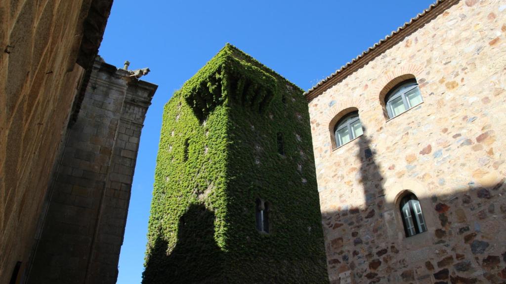 Conoce la escapada gastronómica ideal que está a dos horas de Madrid: en una ciudad medieval y entre dehesas.