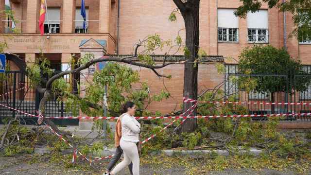Dos mujeres pasa justo al lado de ramas caídas por el temporal ante la Consejería de Educación (Sevilla).