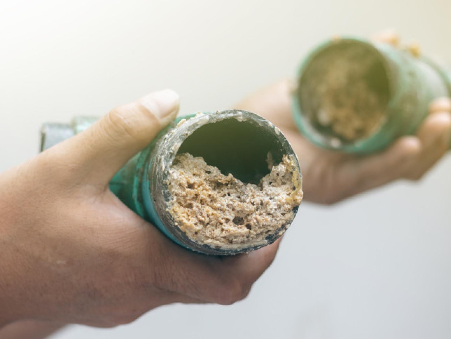 Así puedes preparar tu propio desatascador casero: un remedio natural,  potente y barato para las tuberías