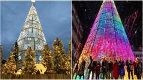 Árbol de Navidad de Pontevedra y de Vigo.