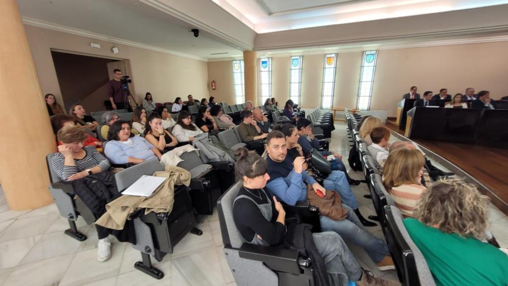 Empleados del Programa de Promoción Personal asisten al pleno provincial de la Diputación de Segovia