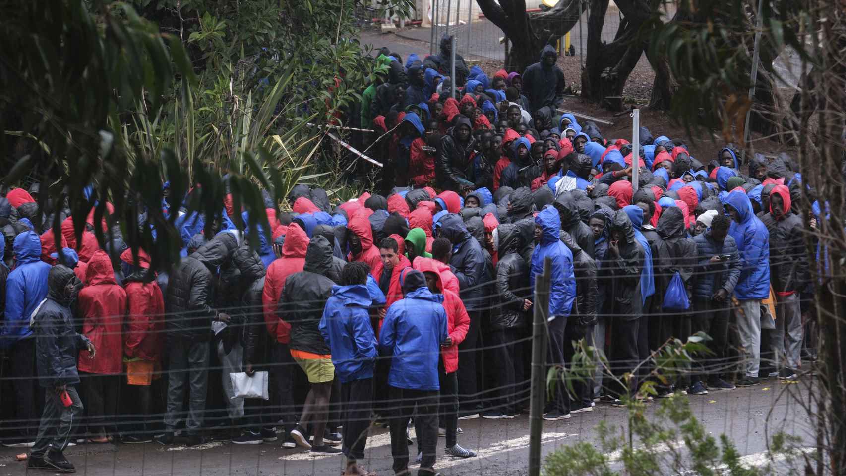 Cientos de inmigrantes senegaleses, esta semana en un centro de acogida de Tenerife.