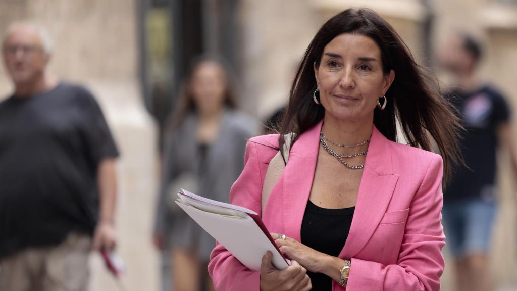 Ruth Merino antes de la rueda de prensa del pleno del Consell