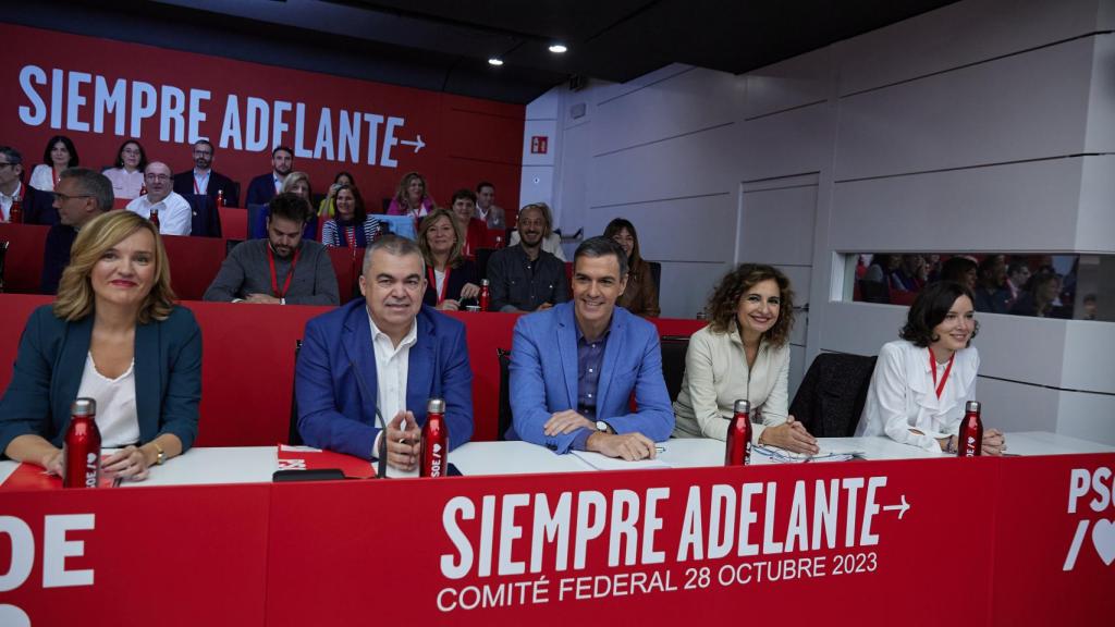 Pilar Alegría, Santos Cerdán, Pedro Sánchez y María Jesús Montero en el Comité Federal del PSOE