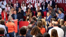 El candidato socialista a la Xunta de Galicia, José Ramón Gómez Besteiro, interviene en el Comité Federal del PSOE.