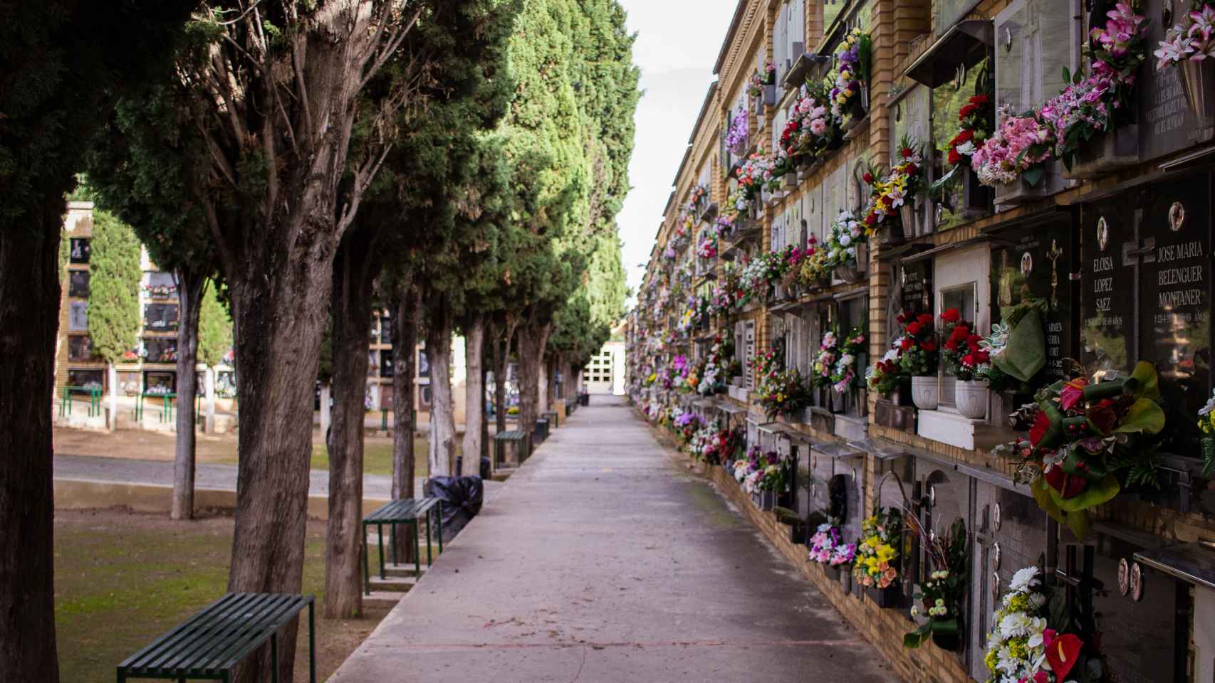 La avenida de un cementerio.