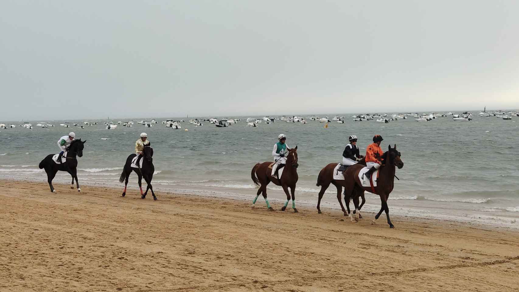 Imagen de entrada 2: caballos en la playa