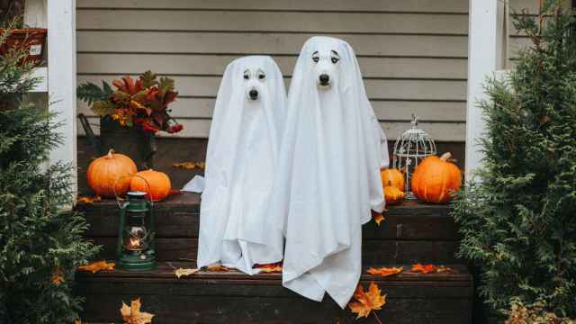 ¿Cuál es el origen de Halloween? Tiene que ver con los celtas y no con Estados Unidos