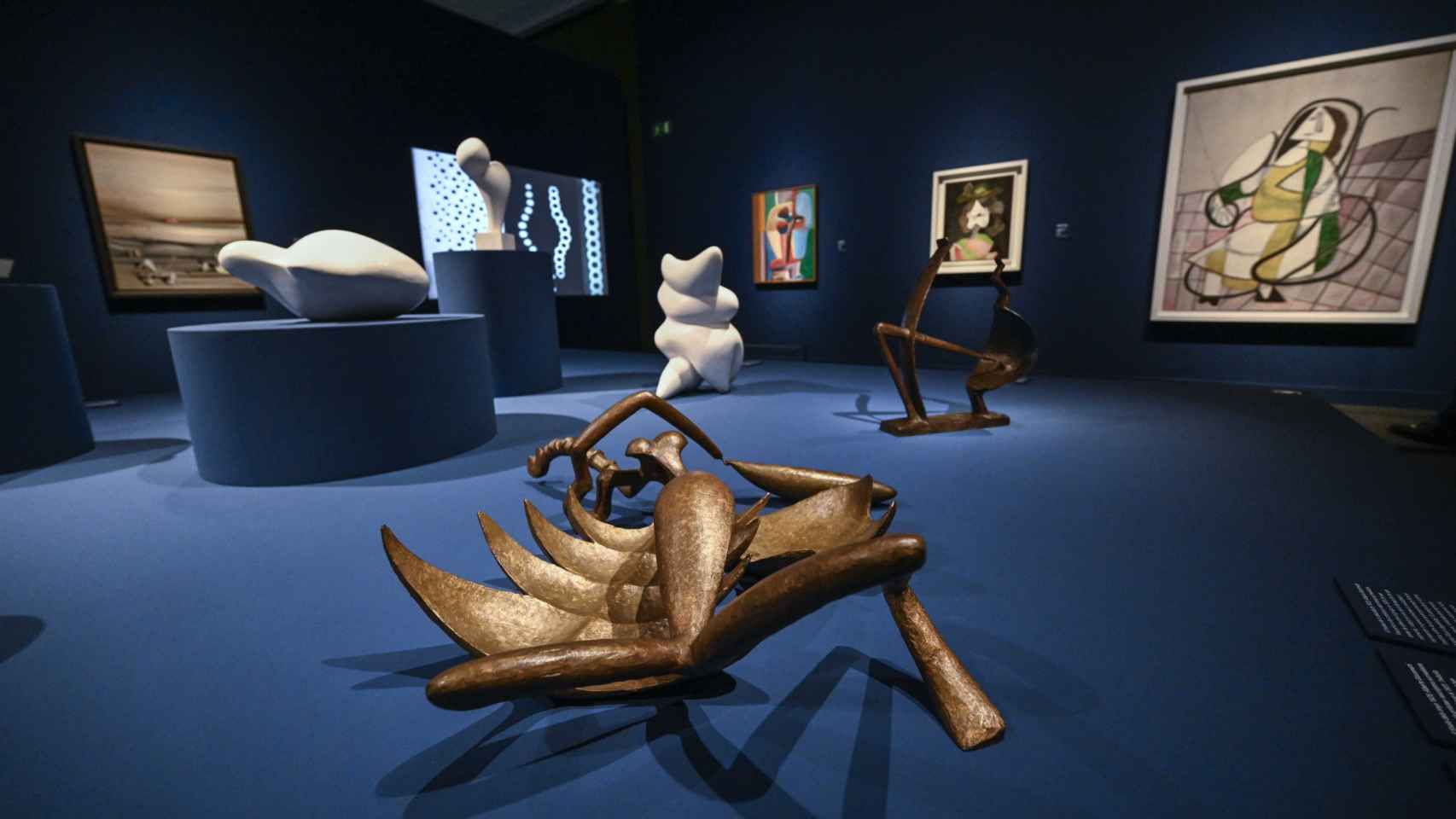Vista de la exposición 'Arte y naturaleza. Un siglo de biomorfismo'