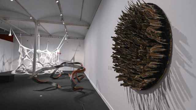 Vista de la exposición 'Arte y naturaleza. Un siglo de biomorfismo' en CaixaForum Barcelona