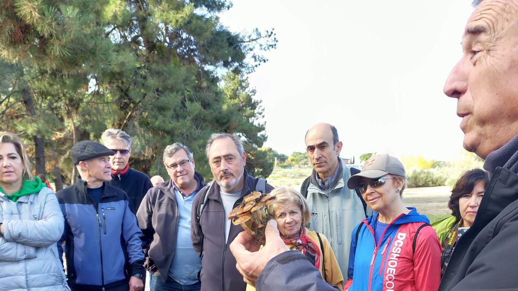 Imagen de  archivo de una de las actividades de las Jornadas Micológicas de Boecillo