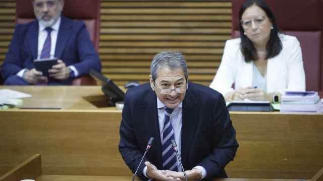 El vicepresidente valenciano y conseller de Cultura, Vicente Barrera, en el Parlamento autonómico.