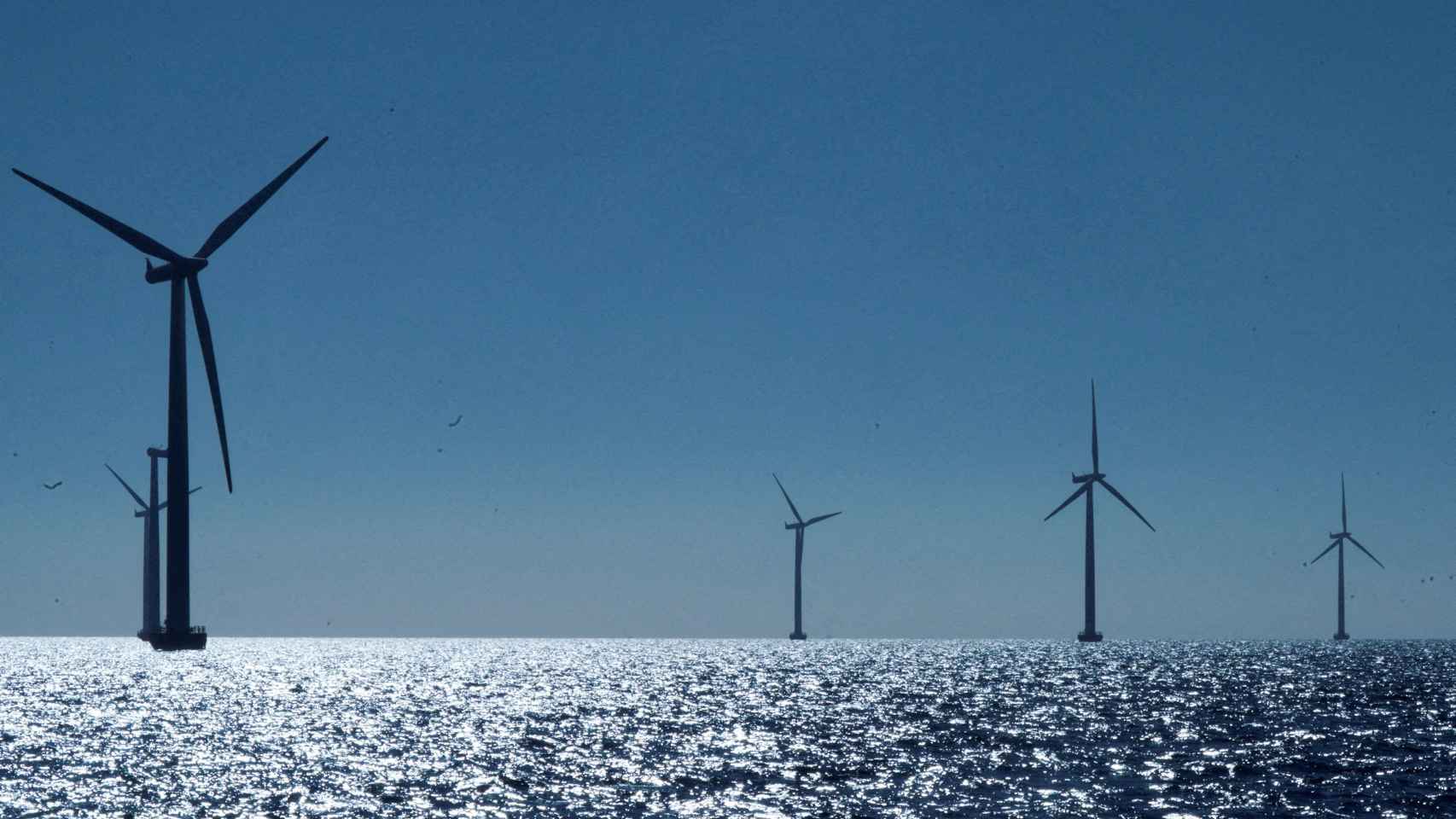 Molino de viento energía renovable eólica on shore – Canal del