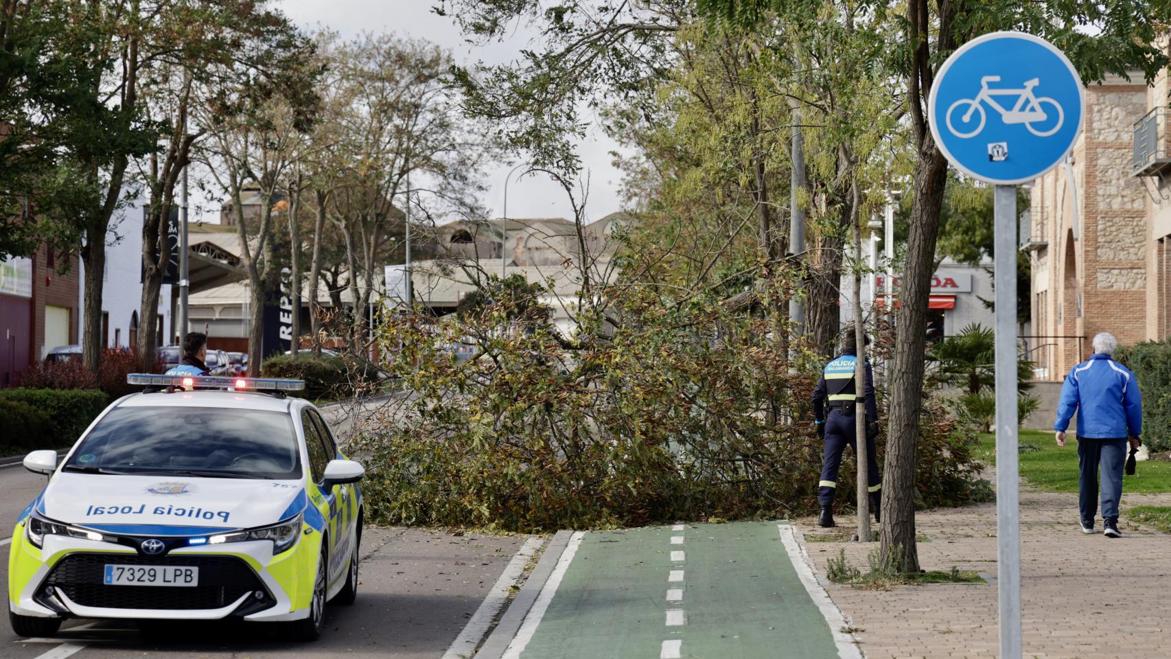 Árboles y ramas caídas por el fuerte viento en Salamanca