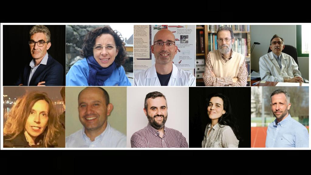 Los investigadores de la ULE Robert O`Dowd, Leonor Calvo, Felipe Martínez, Javier González, Juan Francisco Martín, Marta Otero, Secundino López, Avelino Álvarez, Elba Mauriz y Daniel Boullosa