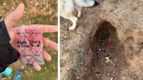 Denuncian la presencia de veneno para ratas en un parque canino de Valladolid