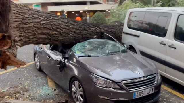El coche destrozado por la caída de un árbol en la calle Embajadores.