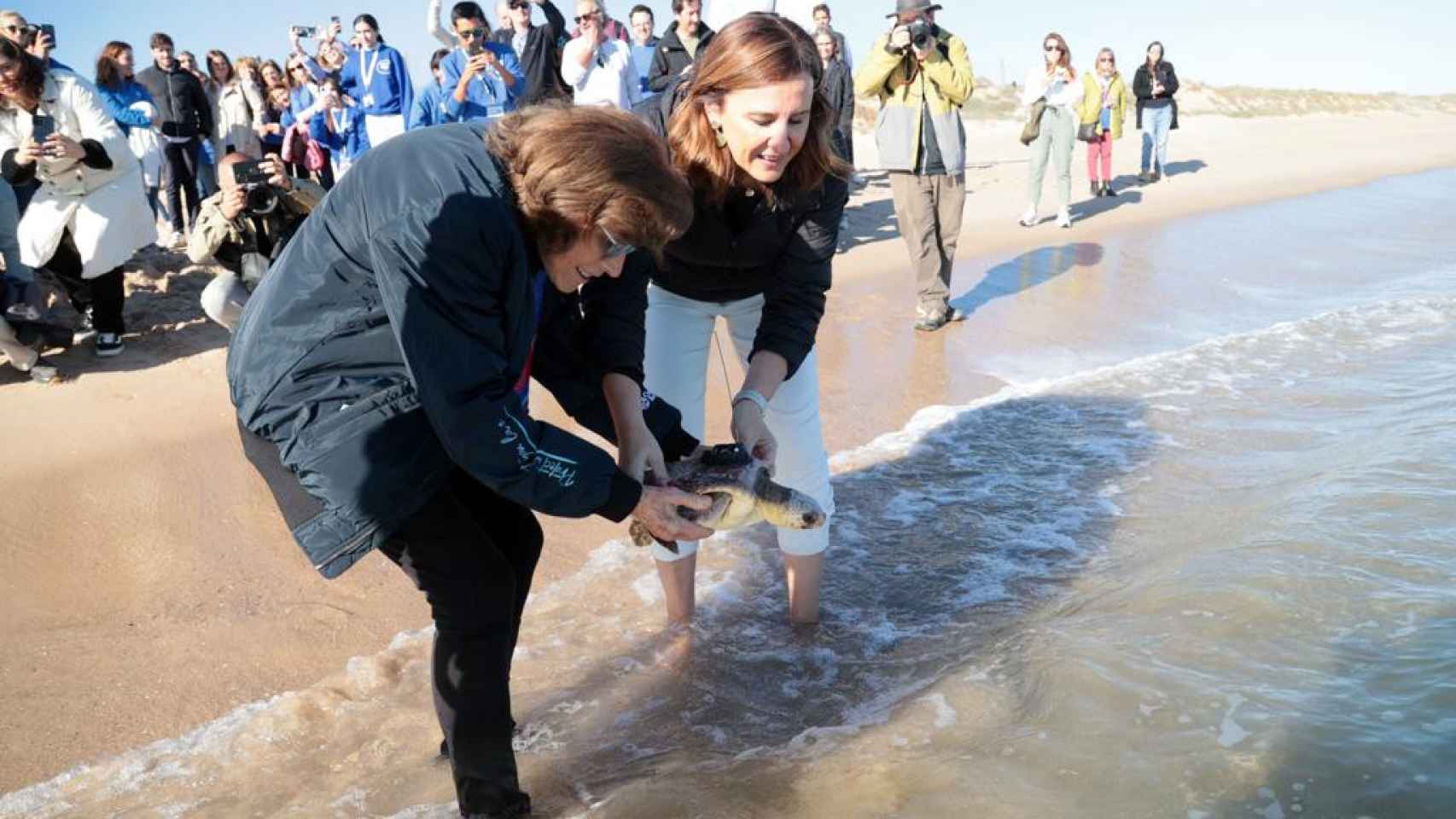 La doctora Sylvia Earle y la alcaldesa de Valencia, María José Catalá, sueltan a la tortuga en la playa de El Saler de Valencia. EE